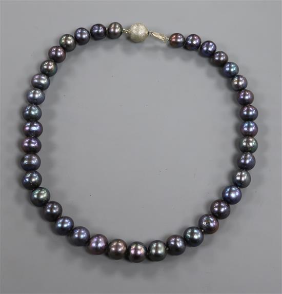 A modern Tahitian cultured pearl necklace, with white metal clasp, 41.5cm.